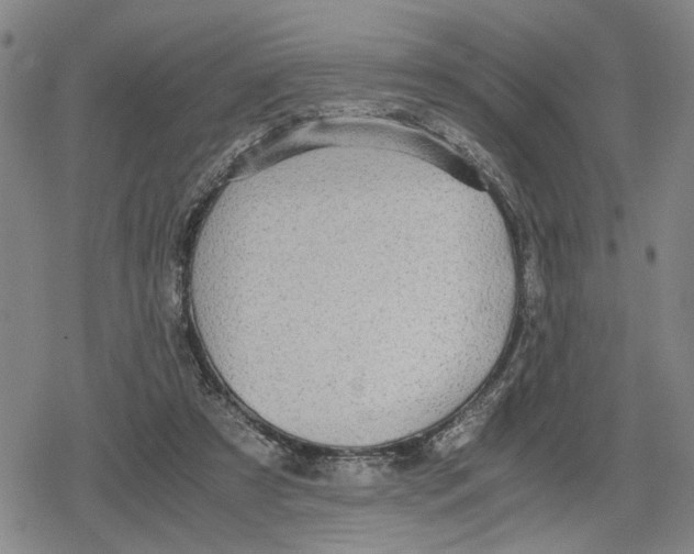 X0000079320305200612151824