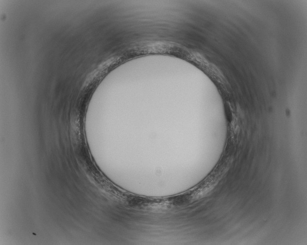 X0000079320306200612151824