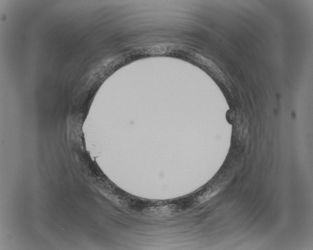 X0000079320307200612151824