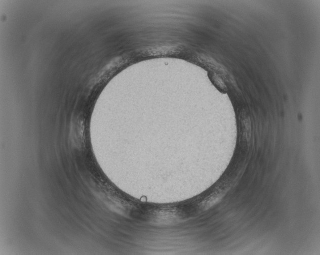 X0000079320308200612151824