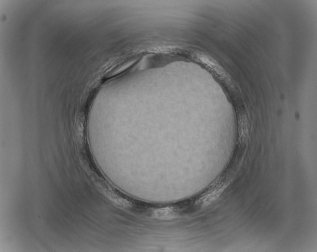 X0000079320309200612151824