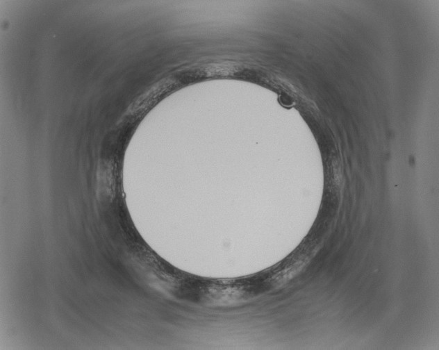 X0000079320311200612151824