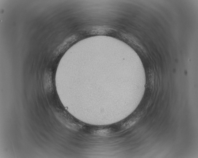 X0000079320312200612151824