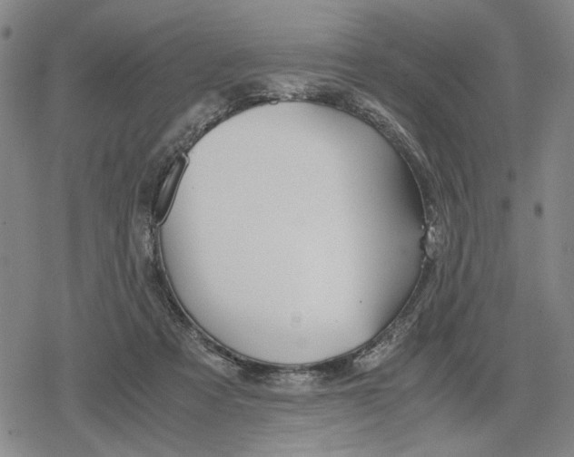 X0000079320313200612151824