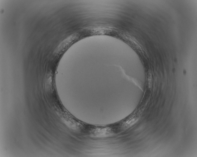 X0000079320314200612151824