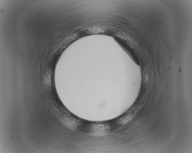 X0000079320315200612151824