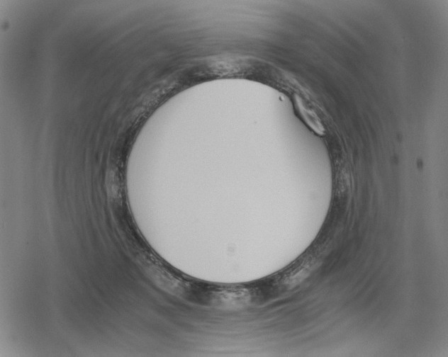 X0000079320317200612151824