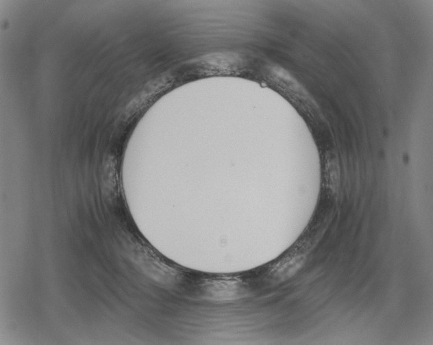 X0000079320318200612151824