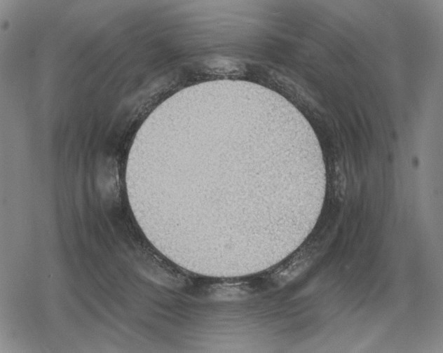 X0000079320320200612151824