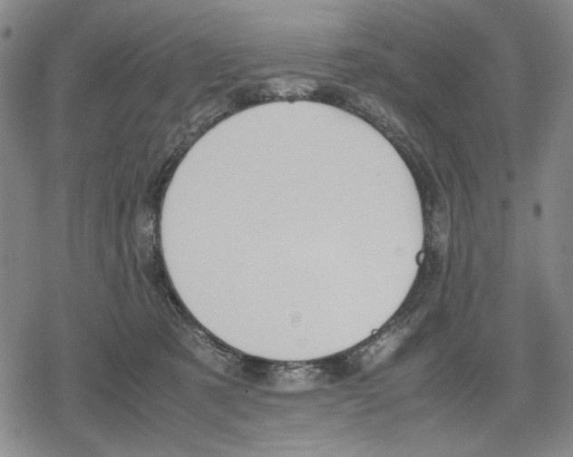 X0000079320321200612151824