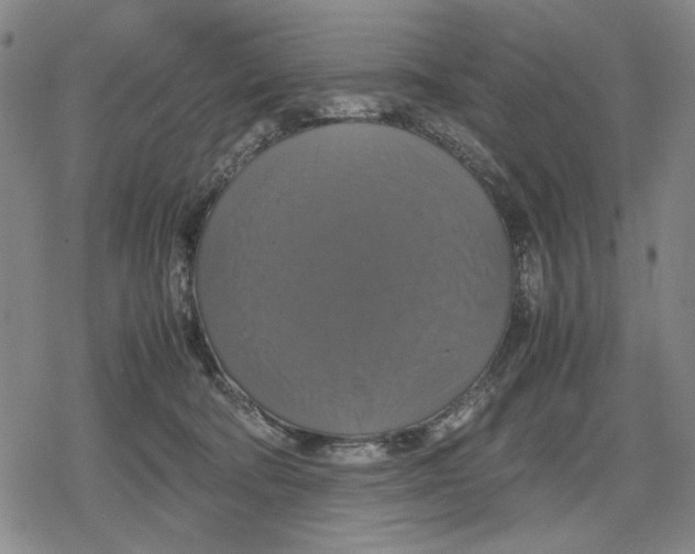 X0000079320322200612151824