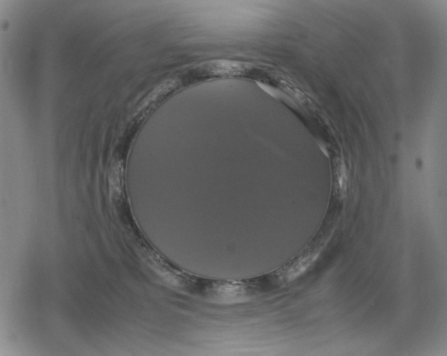 X0000079320325200612151823