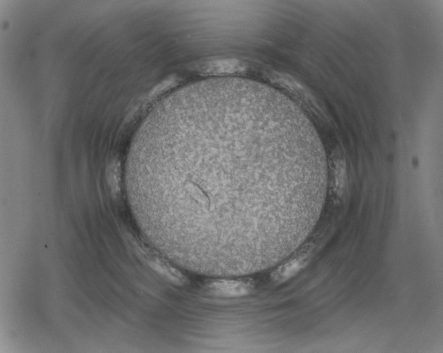 X0000079320326200612151823