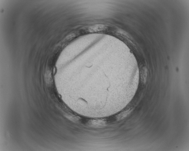 X0000079320327200612151823