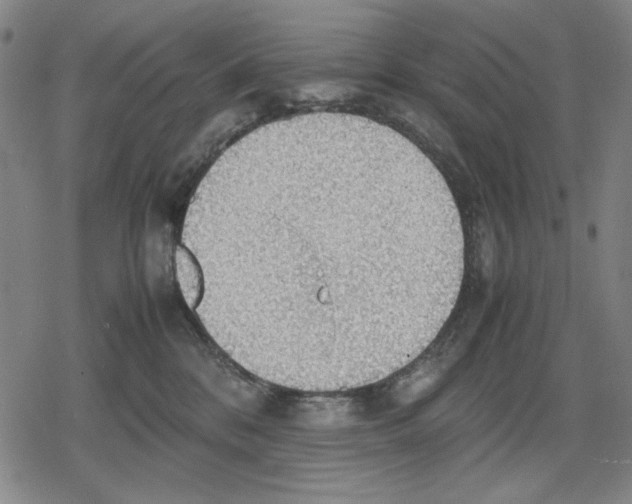 X0000079320328200612151823