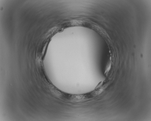 X0000079320329200612151823