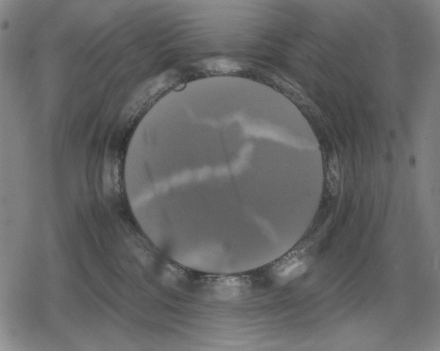 X0000079320330200612151823