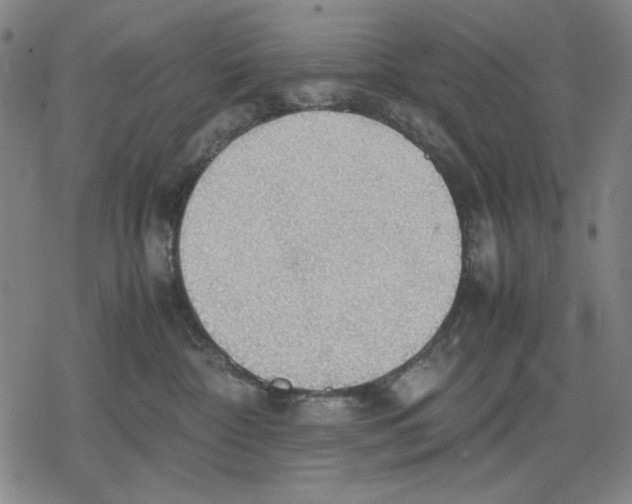 X0000079320332200612151823