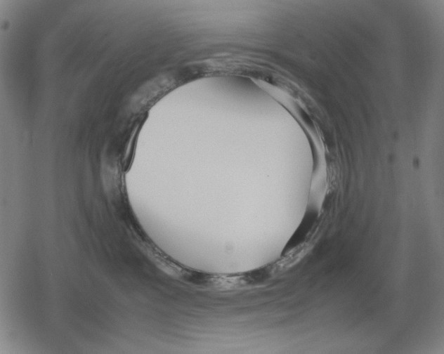 X0000079320333200612151823