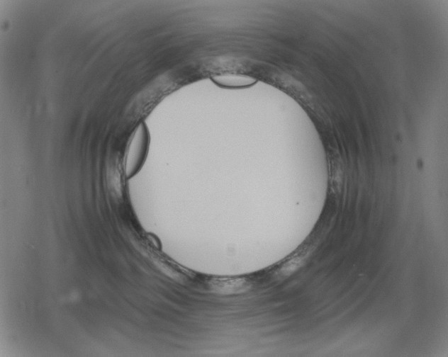 X0000079320334200612151823