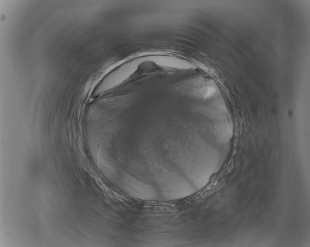 X0000079320337200612151823