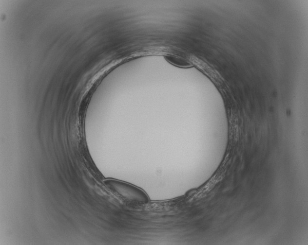 X0000079320338200612151823