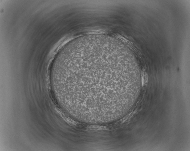 X0000079320339200612151823