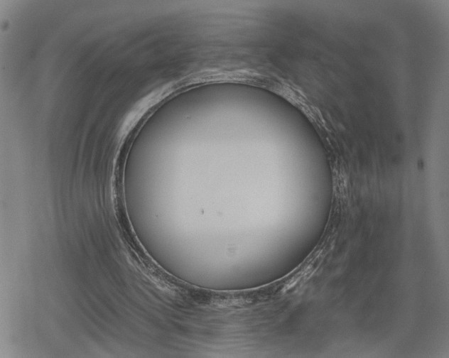 X0000079320340200612151823