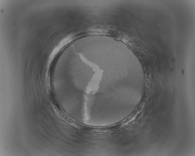 X0000079320343200612151823