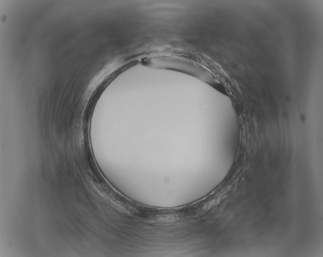 X0000079320344200612151823