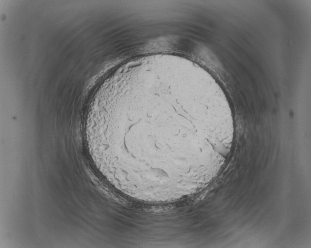 X0000079320345200612151823