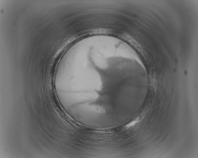 X0000079320347200612151823