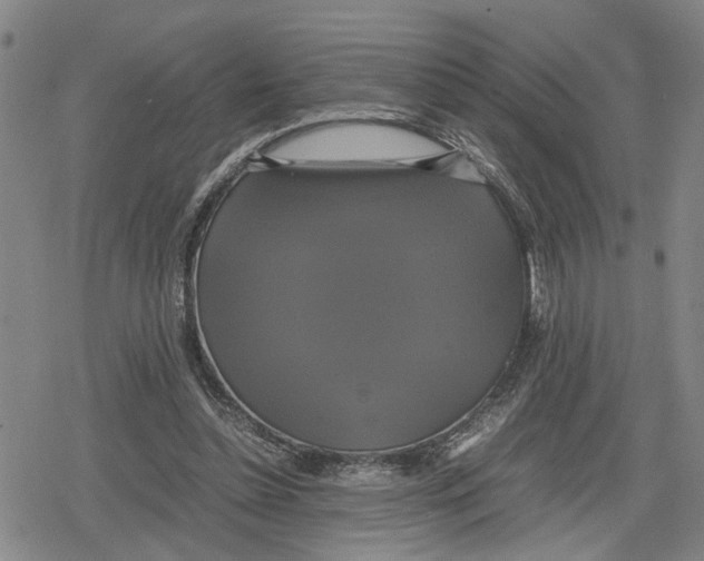 X0000079320348200612151823