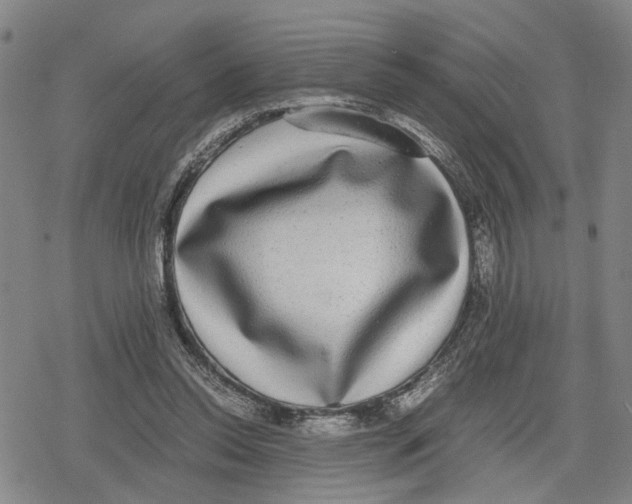 X0000079320350200612151823