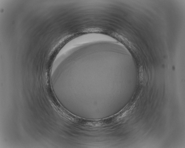 X0000079320351200612151823