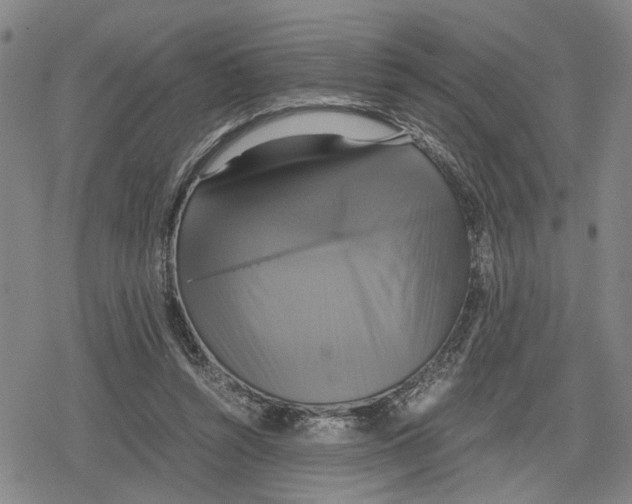 X0000079320352200612151823