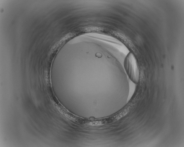 X0000079320353200612151823