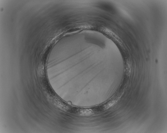 X0000079320355200612151823