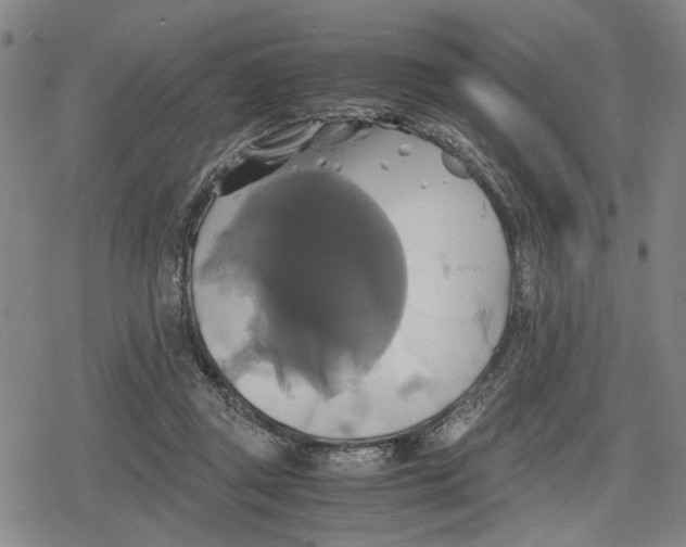 X0000079320357200612151823