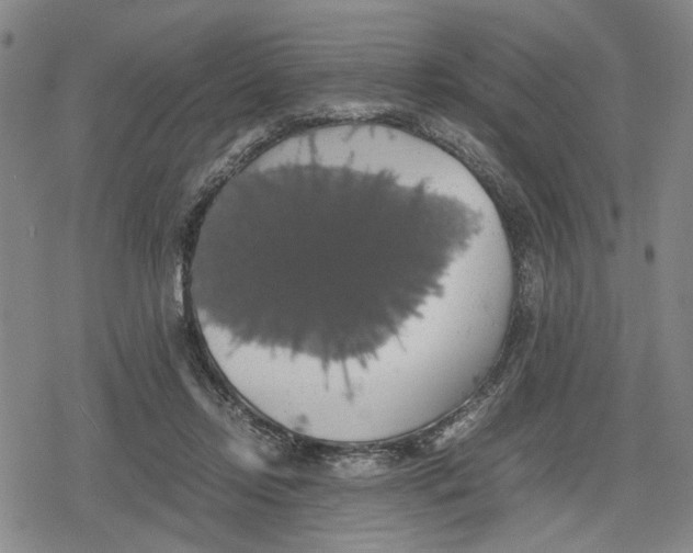 X0000079320358200612151823