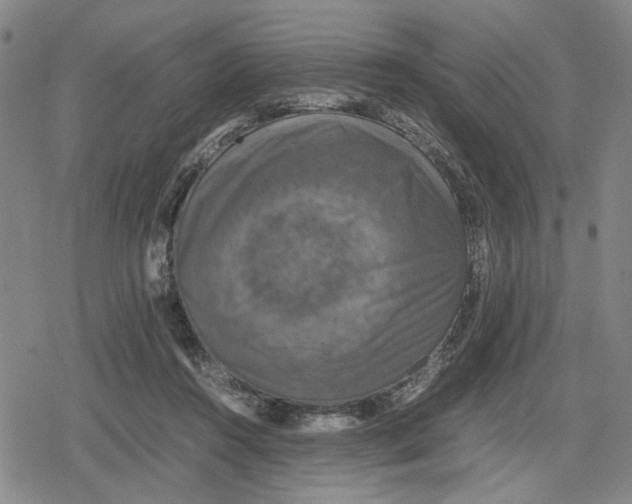 X0000079320360200612151823