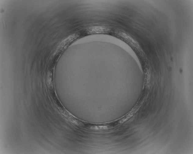 X0000079320361200612151823