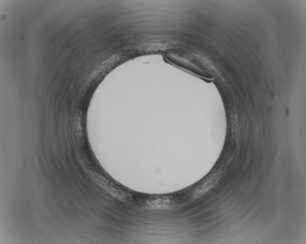 X0000079320362200612151823