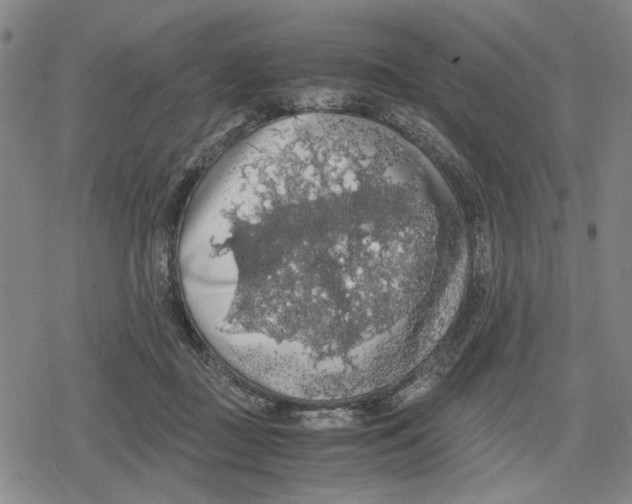 X0000079320363200612151823