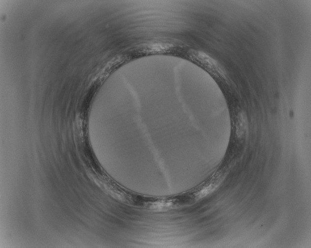 X0000079320366200612151823