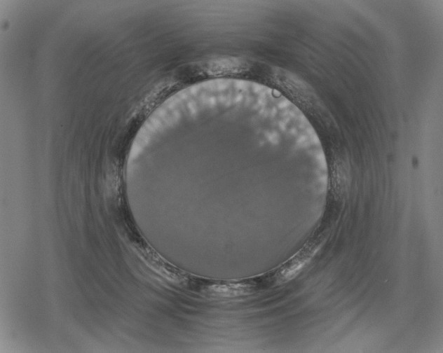 X0000079320367200612151823