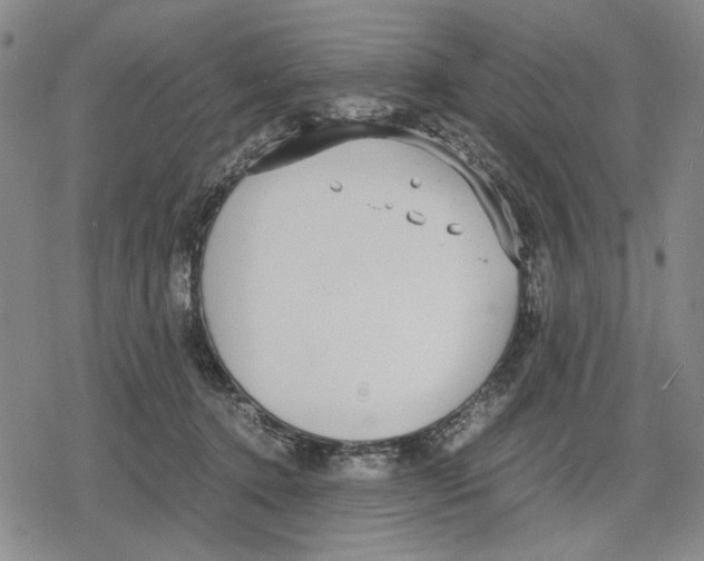 X0000079320368200612151823