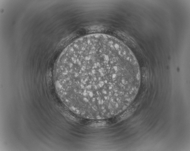 X0000079320369200612151823