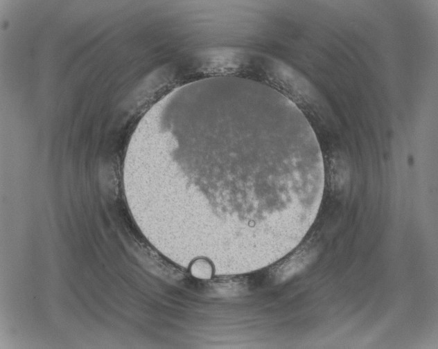 X0000079320370200612151823