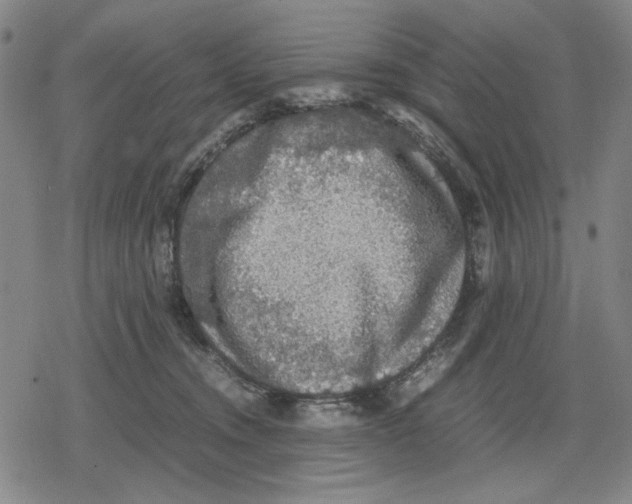 X0000079320372200612151823